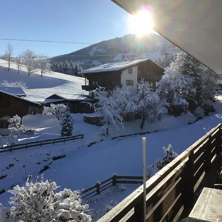 Alpbach Apartment Reith im Alpbachtal