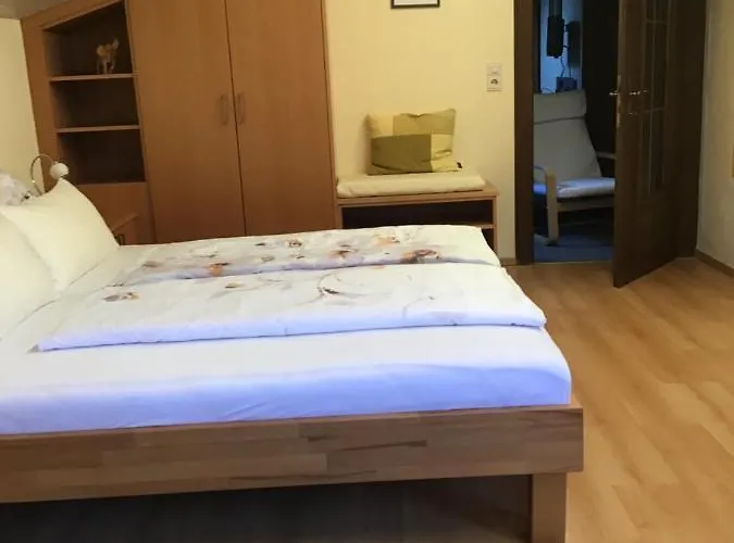 阿尔卑巴赫酒店式公寓 公寓 *