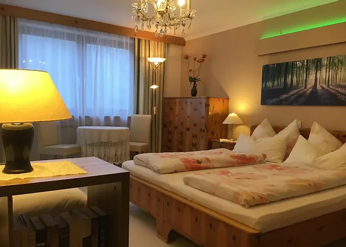 公寓 阿尔卑巴赫酒店式公寓 *