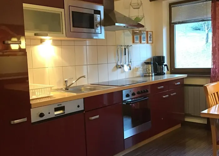 阿尔卑巴赫酒店式公寓 公寓 里斯奥尔巴赫塔