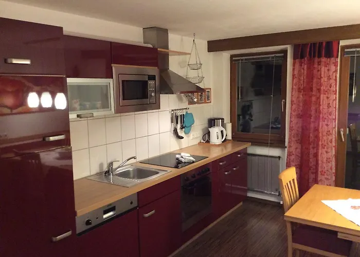 阿尔卑巴赫酒店式公寓 公寓 *