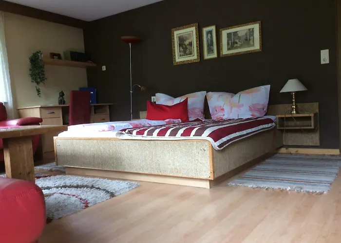 公寓 阿尔卑巴赫酒店式公寓 *