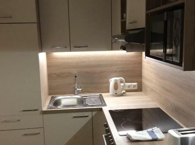 阿尔卑巴赫酒店式公寓 公寓 里斯奥尔巴赫塔